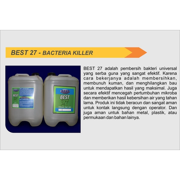 Anti Bacterial Paint / Bacteria Killer (Best 27)